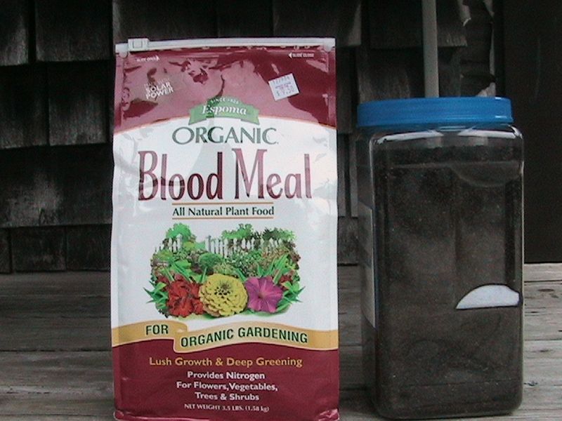 Add Bone Meal or Blood Meal