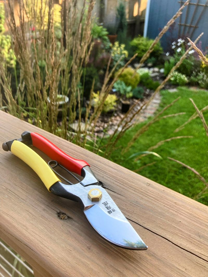 Use Sharp Pruning Shears