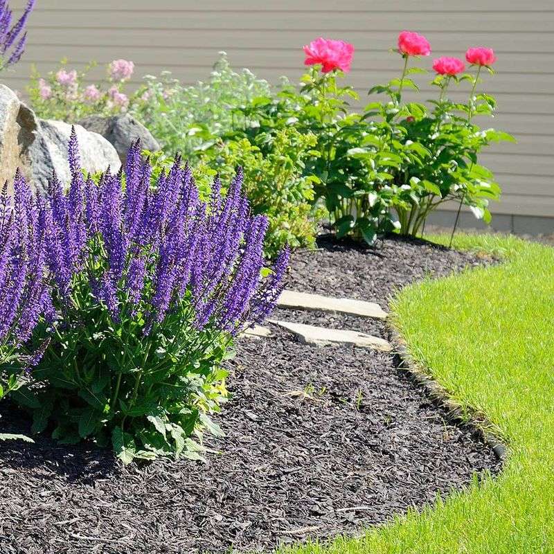 Set Up a Rain Garden