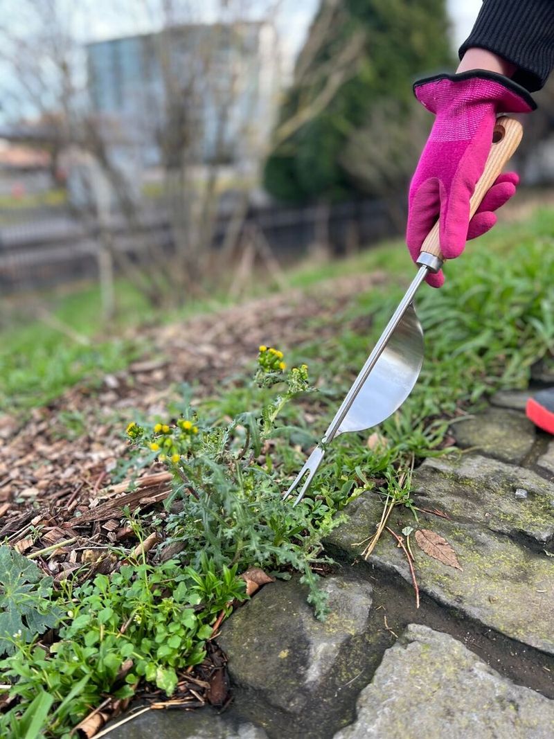 Simple Hand Weeder