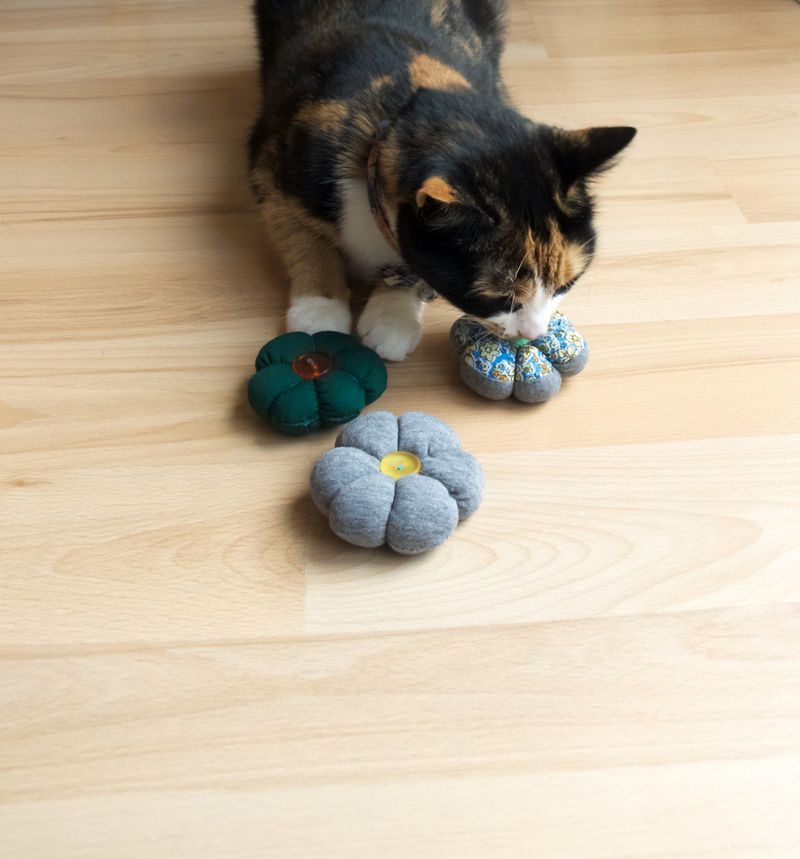 Pet Toy DIY