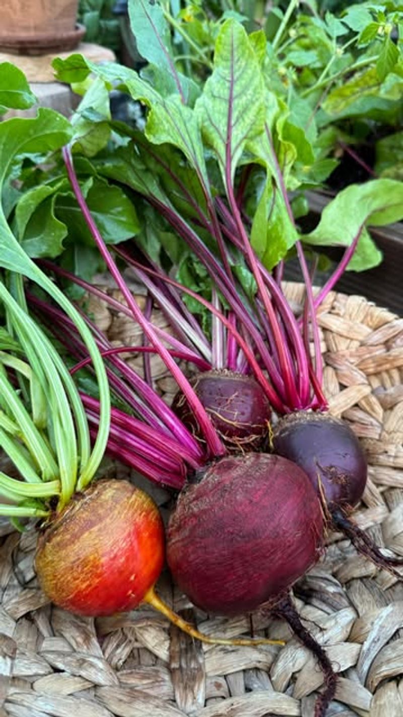 Beet Greens