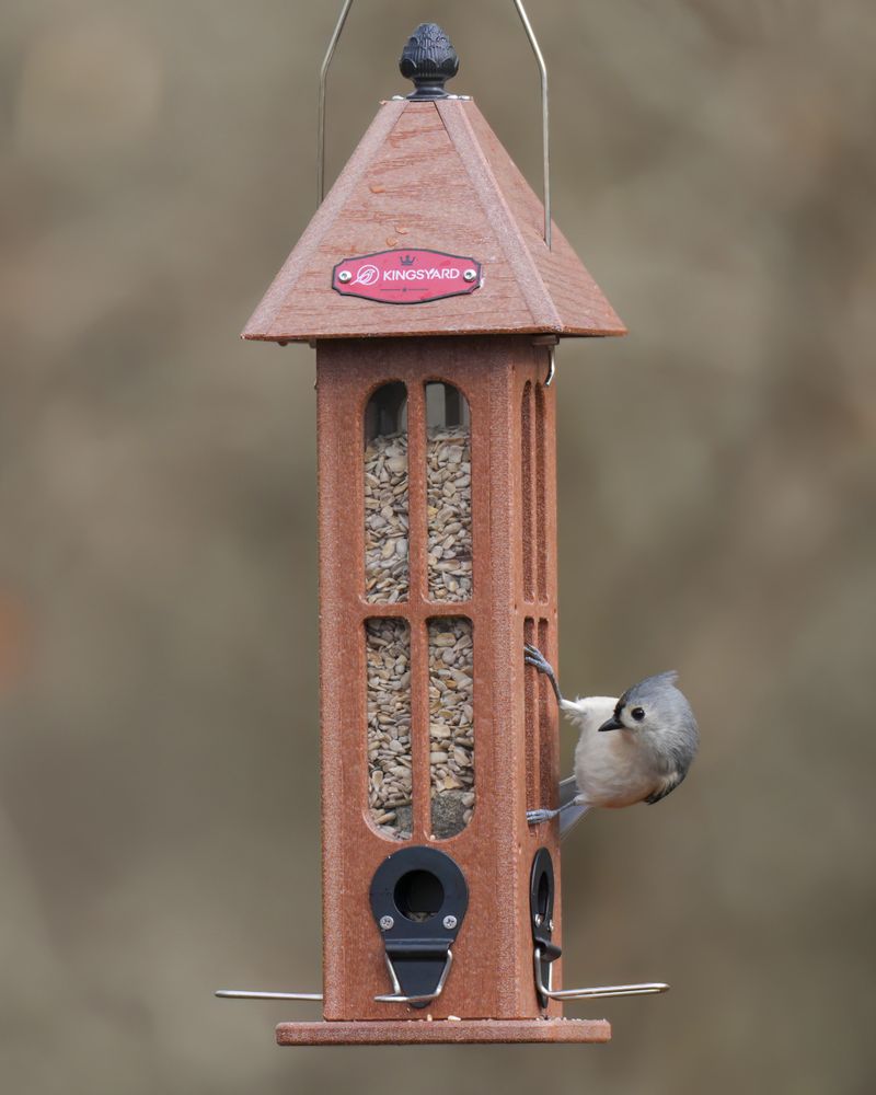 Nature's Hangout Squirrel Proof Feeder