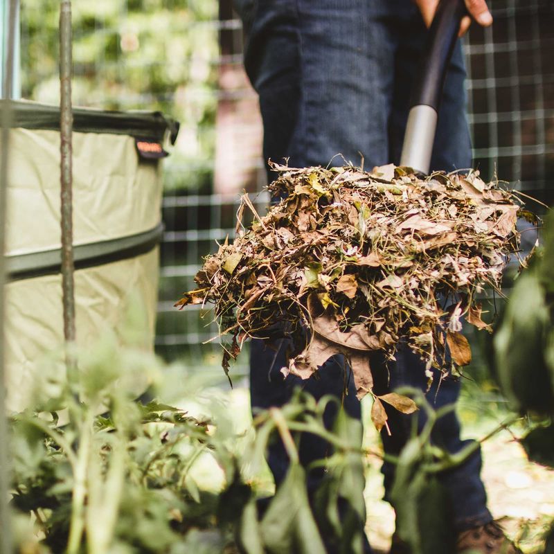 Clean up yard debris and leaves