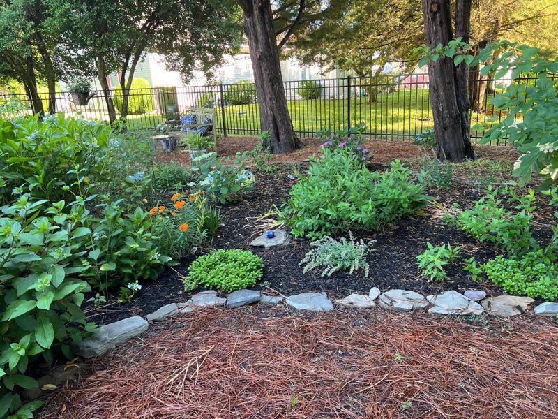 Mulch for Wildlife Habitats