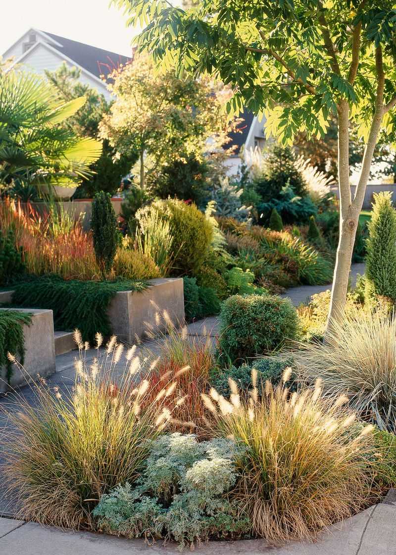 Choose Drought-Tolerant Plants