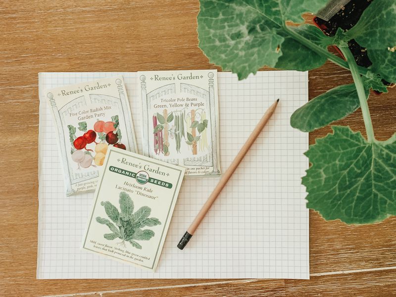 Keep a Gardening Journal