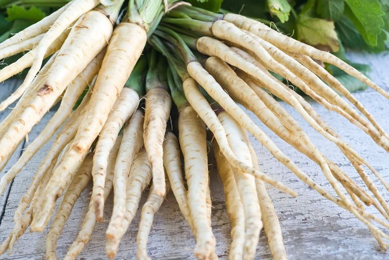 Parsnips