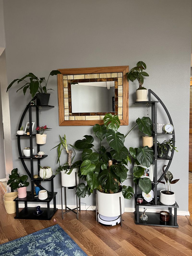 Choose The Right Plant For Your Space