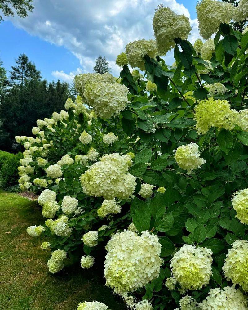 Extended Flowering Season