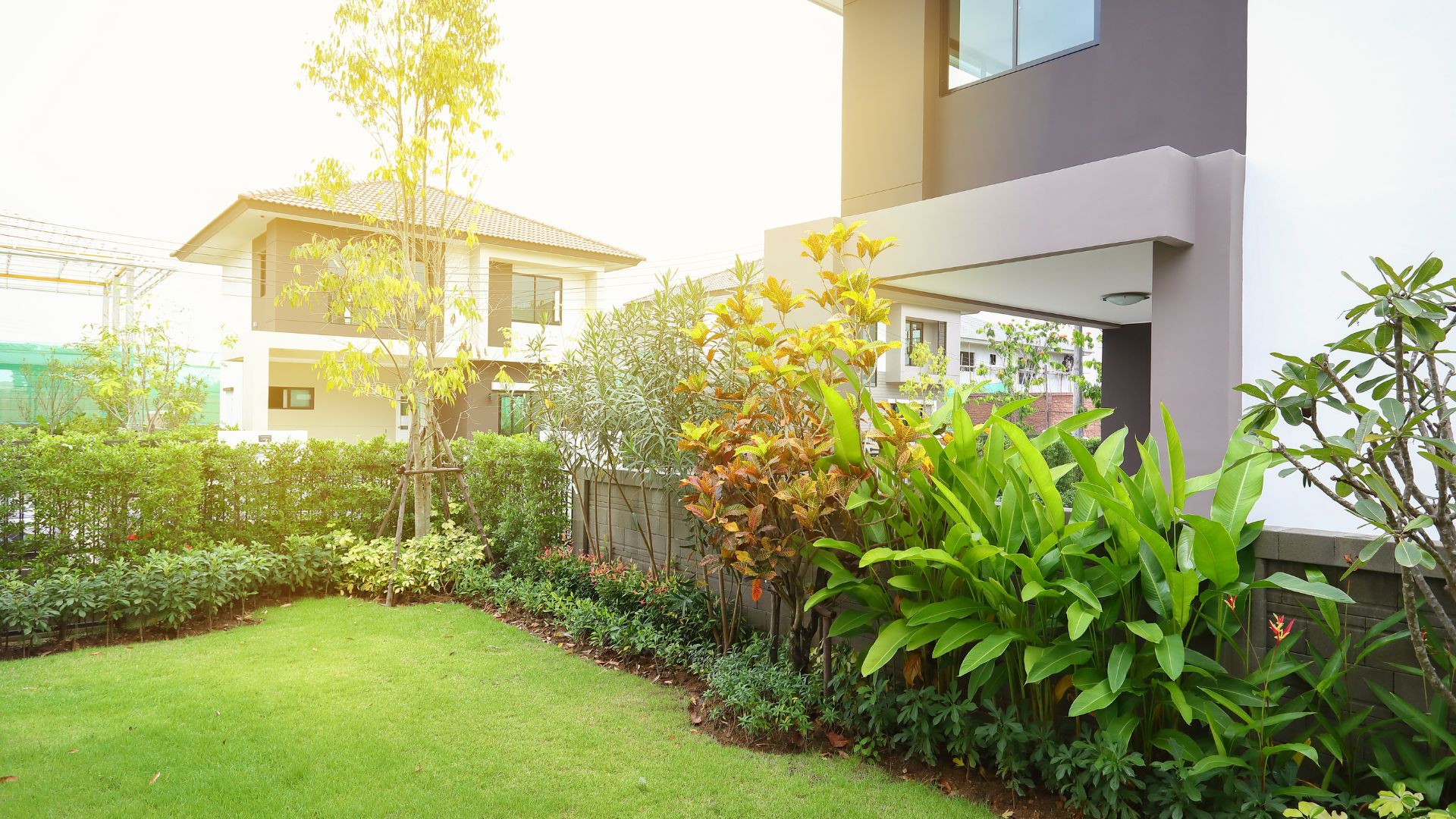 backyard garden landscaping of home
