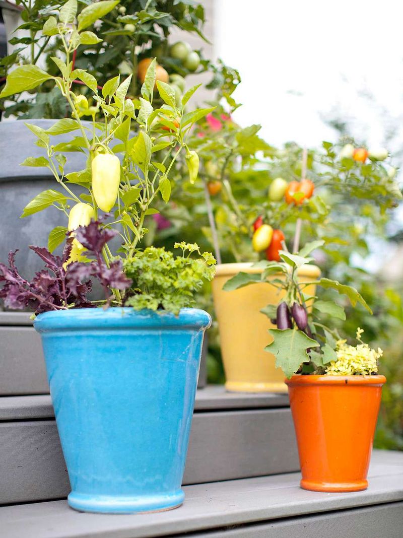 Over-Relying on Container Gardening