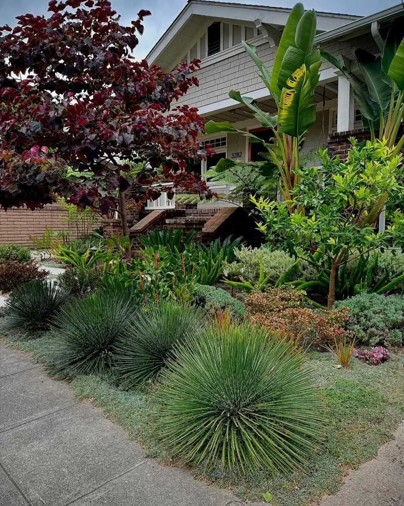 Creating Bird-Friendly Landscaping