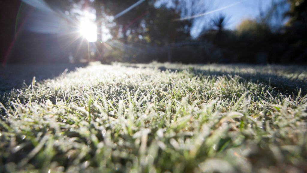 Frost covered lawn in winter