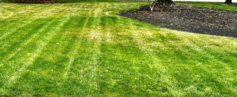 Being Inconsistent with Lawn Care