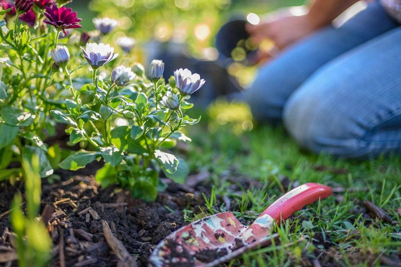 Ignoring plant hardiness zones