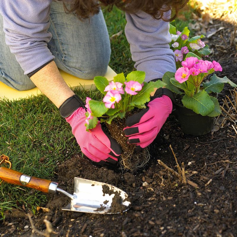 Planting flowers too early or late in the season