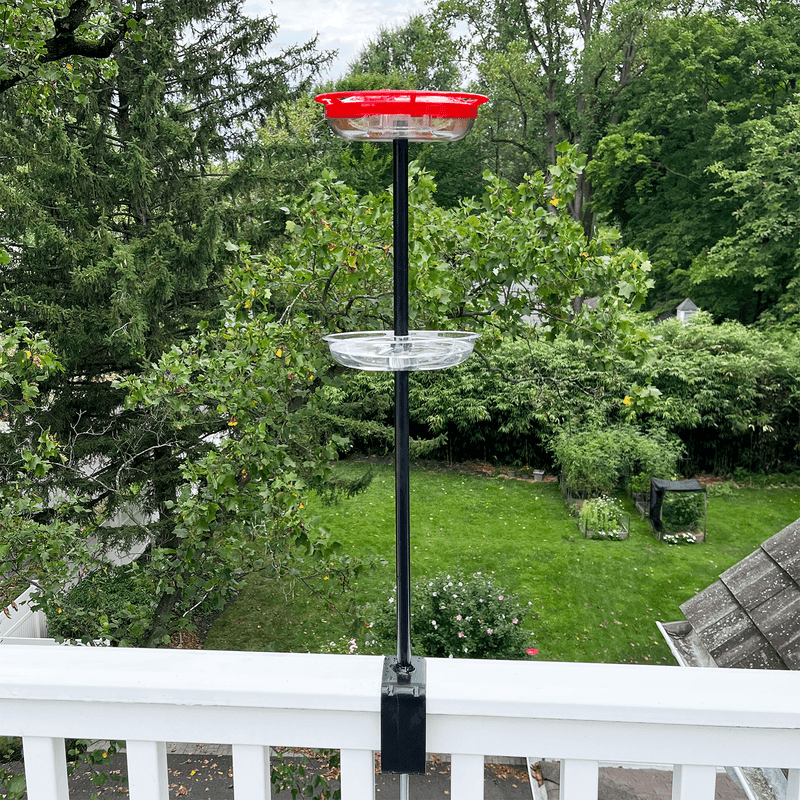 Place feeders on a thin pole