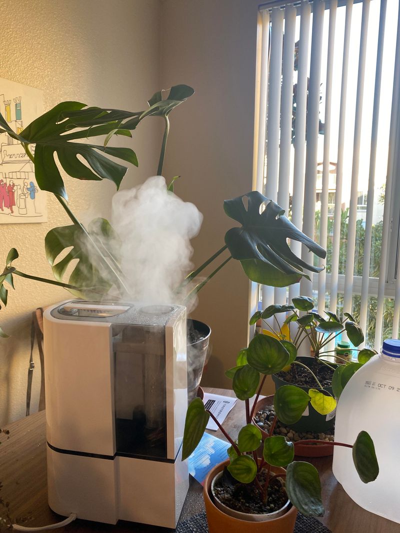 Humidifier Heaven