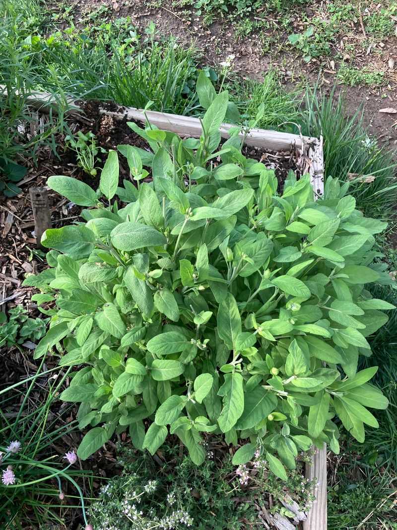 DIY Herb Mixture