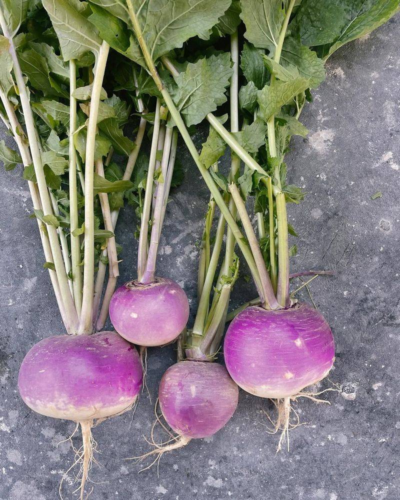 Turnips