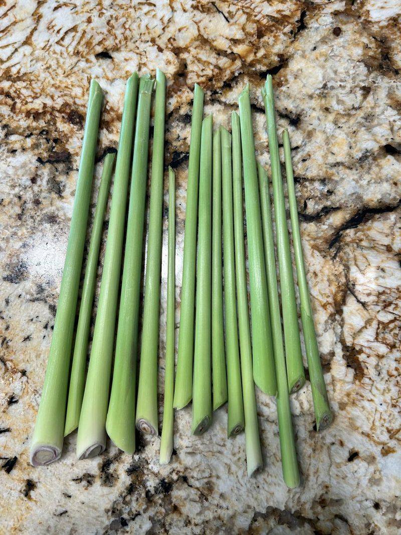 Lemongrass Stalks