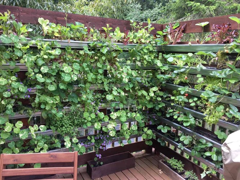 Vertical Garden