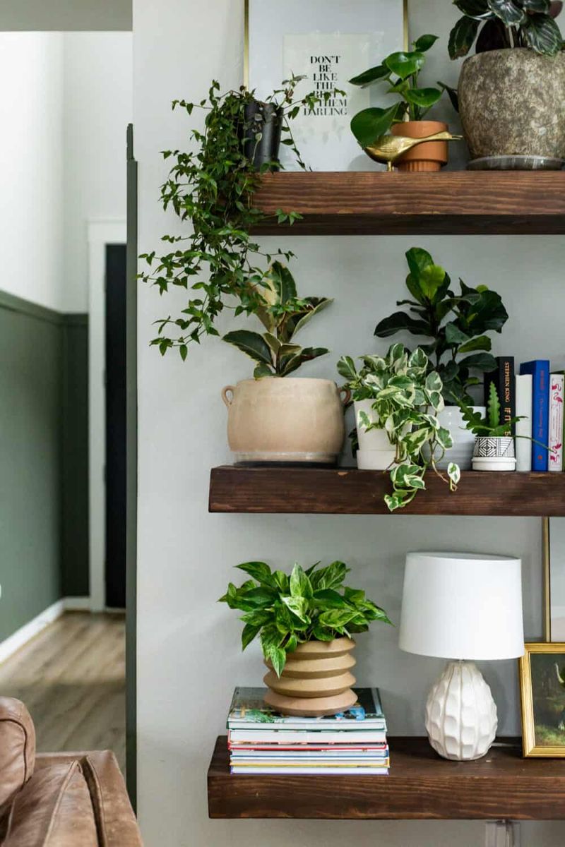 Floating Shelf Display