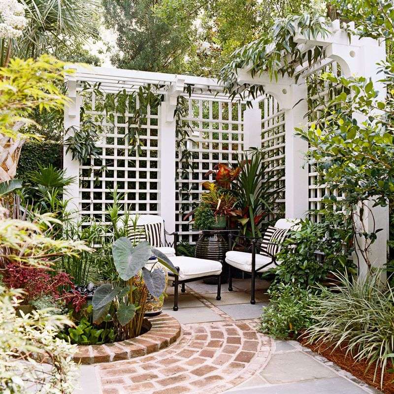 Privacy Screens or Trellises