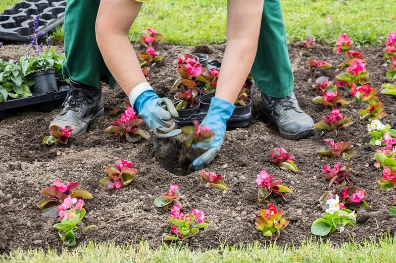 Planting in the wrong location