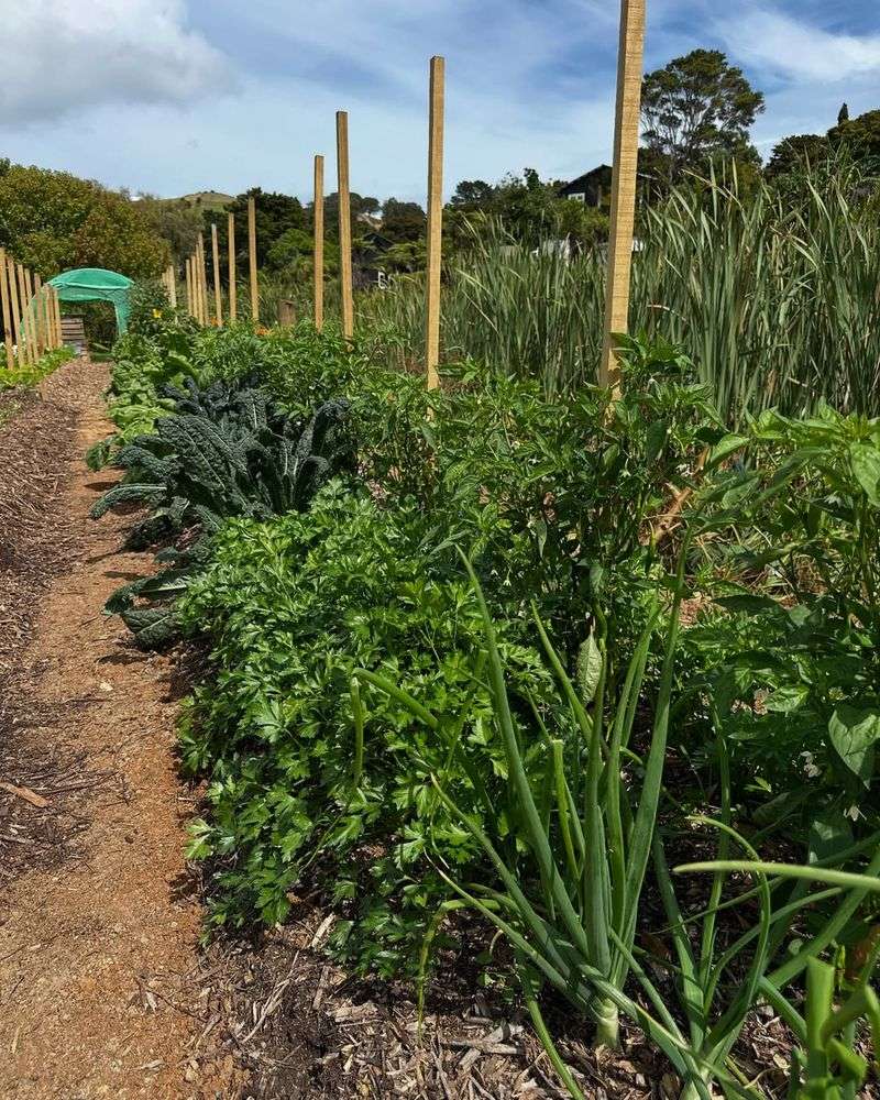 Monoculture Planting