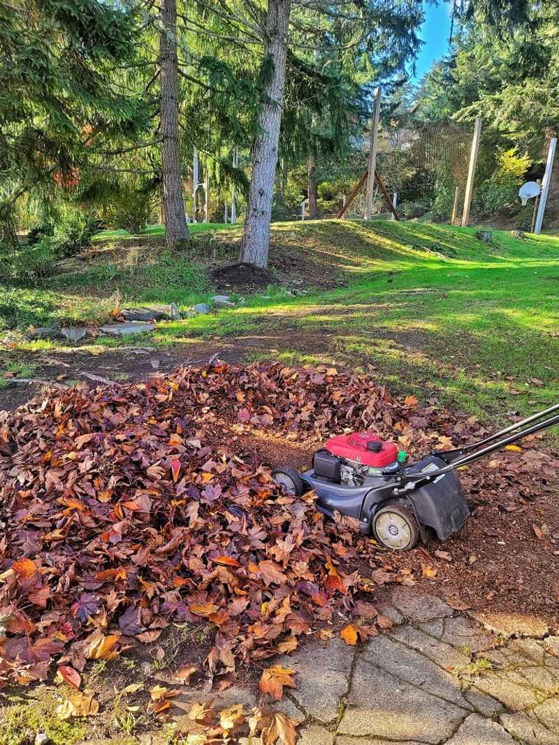 Let fallen leaves accumulate