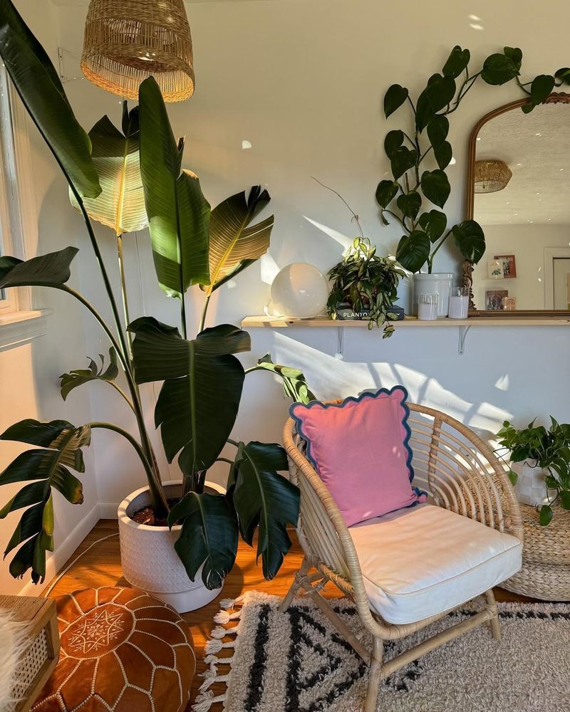 Bohemian Plant Corner