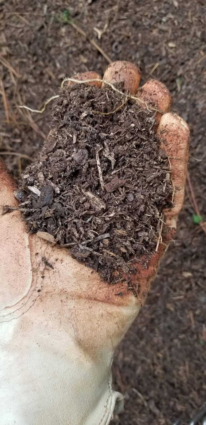 Poor Soil Quality