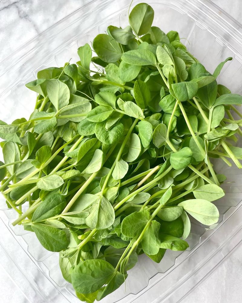 Pea Shoots