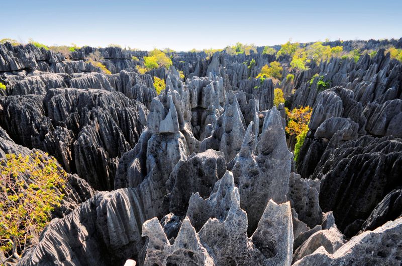 Madagascar For Tsingy Limestone Forests