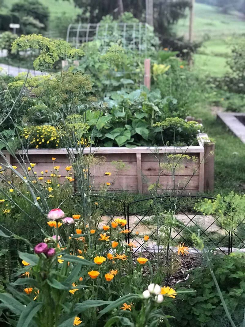 Build a Raised Garden Bed