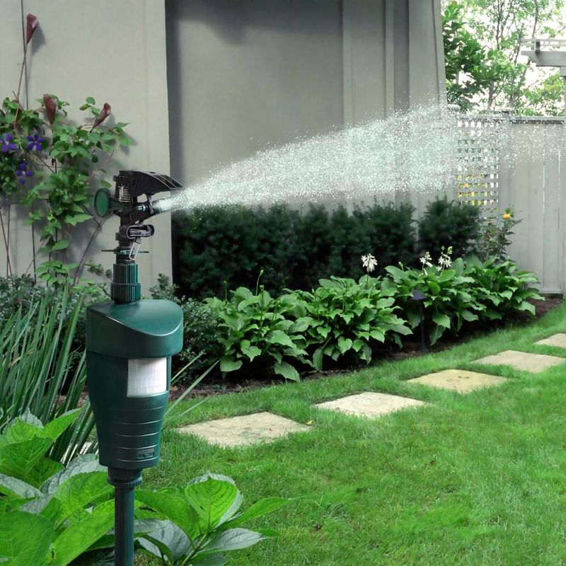 Install motion-activated sprinklers