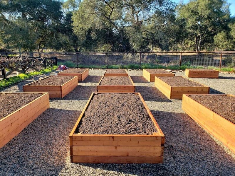 Use Raised Beds for Better Drainage