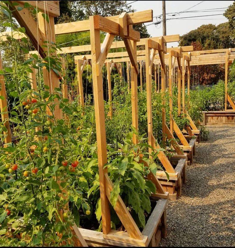 Use Raised Beds