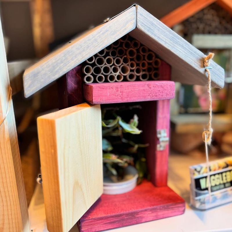 Install a Ladybug House