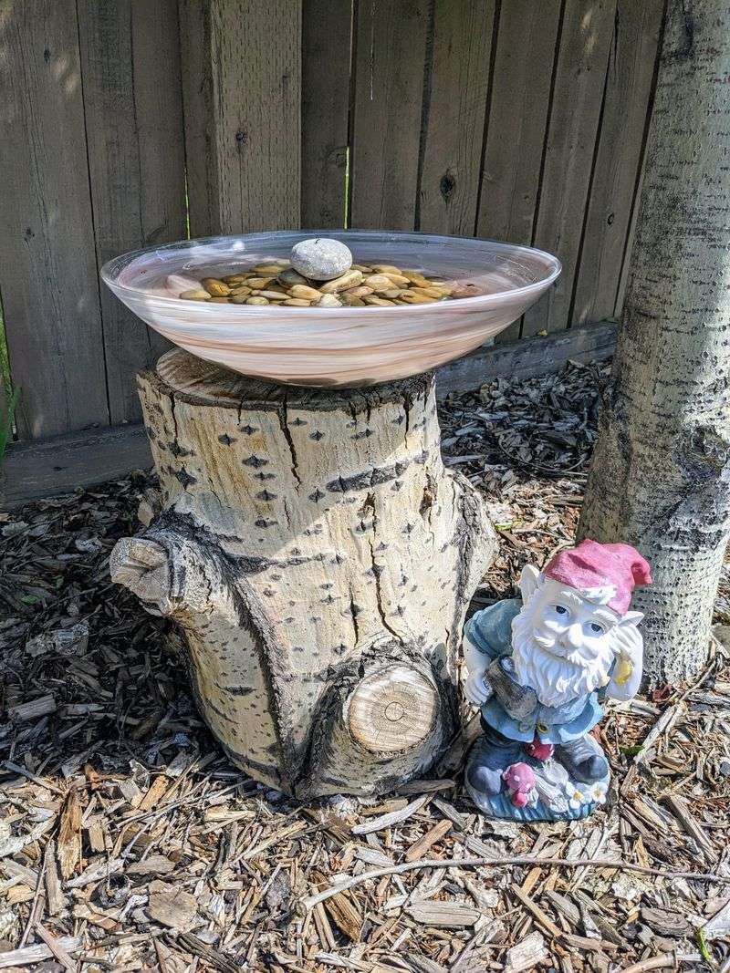 Set Up a Bird Bath