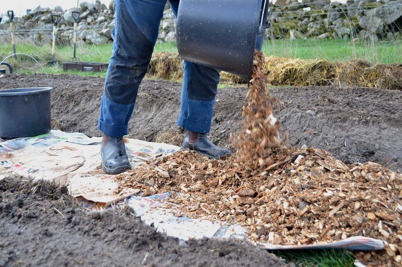 Build a Garden with Wood Chips