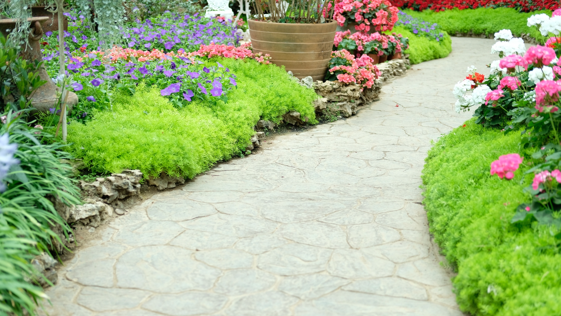 garden