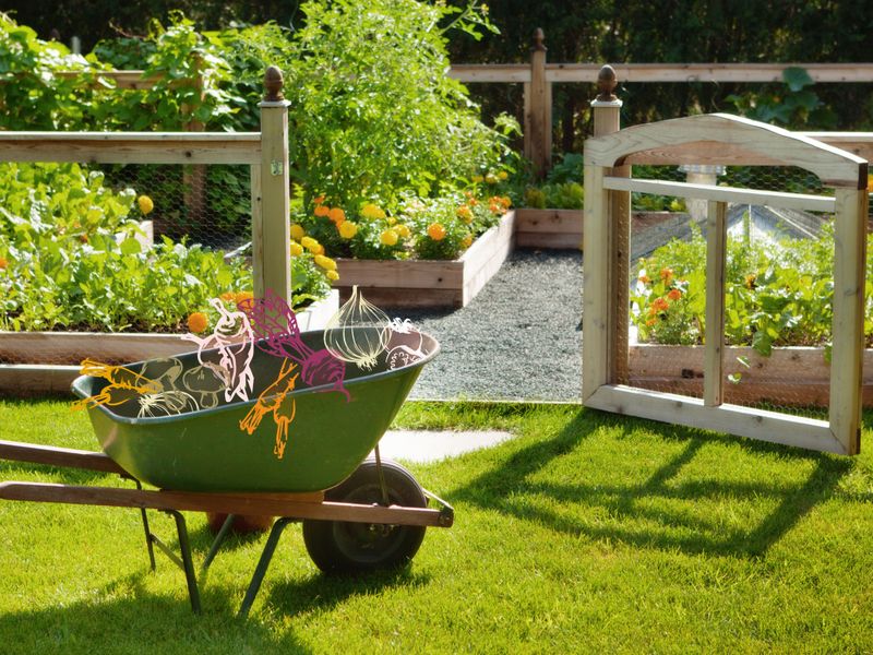 Create a vegetable garden