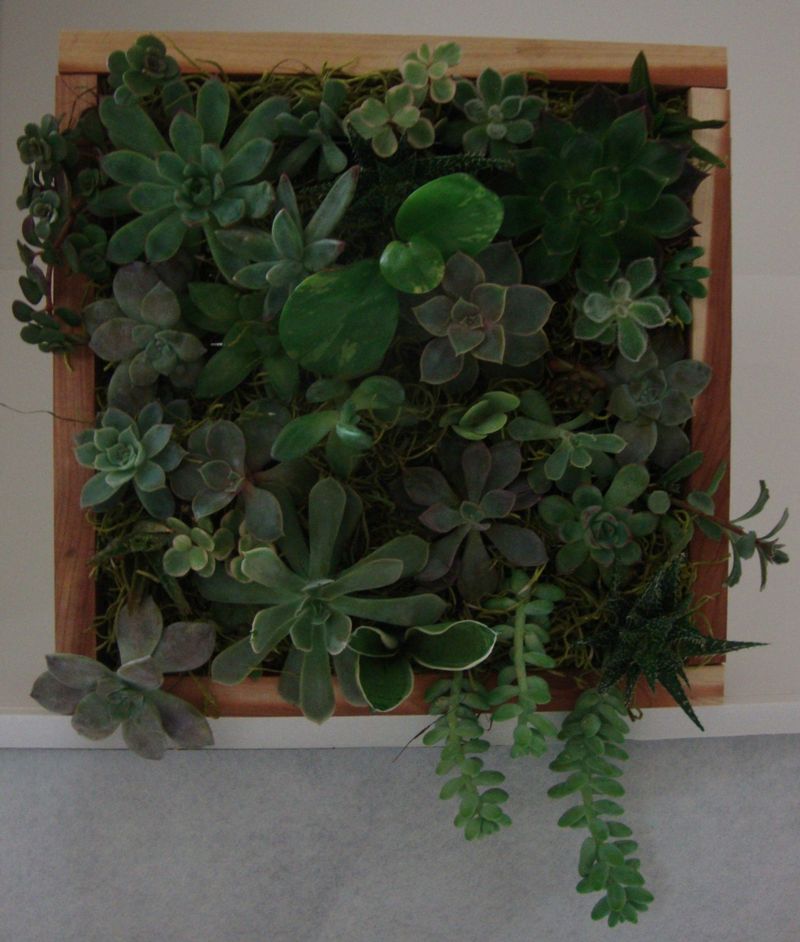 Shadow box planters