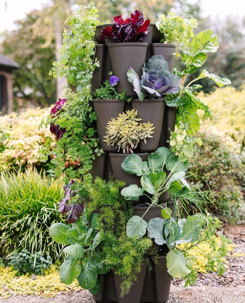 Vertical Gardening