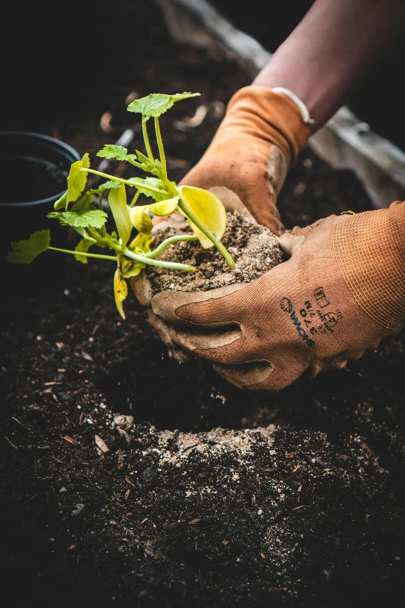 Ignoring Soil Health