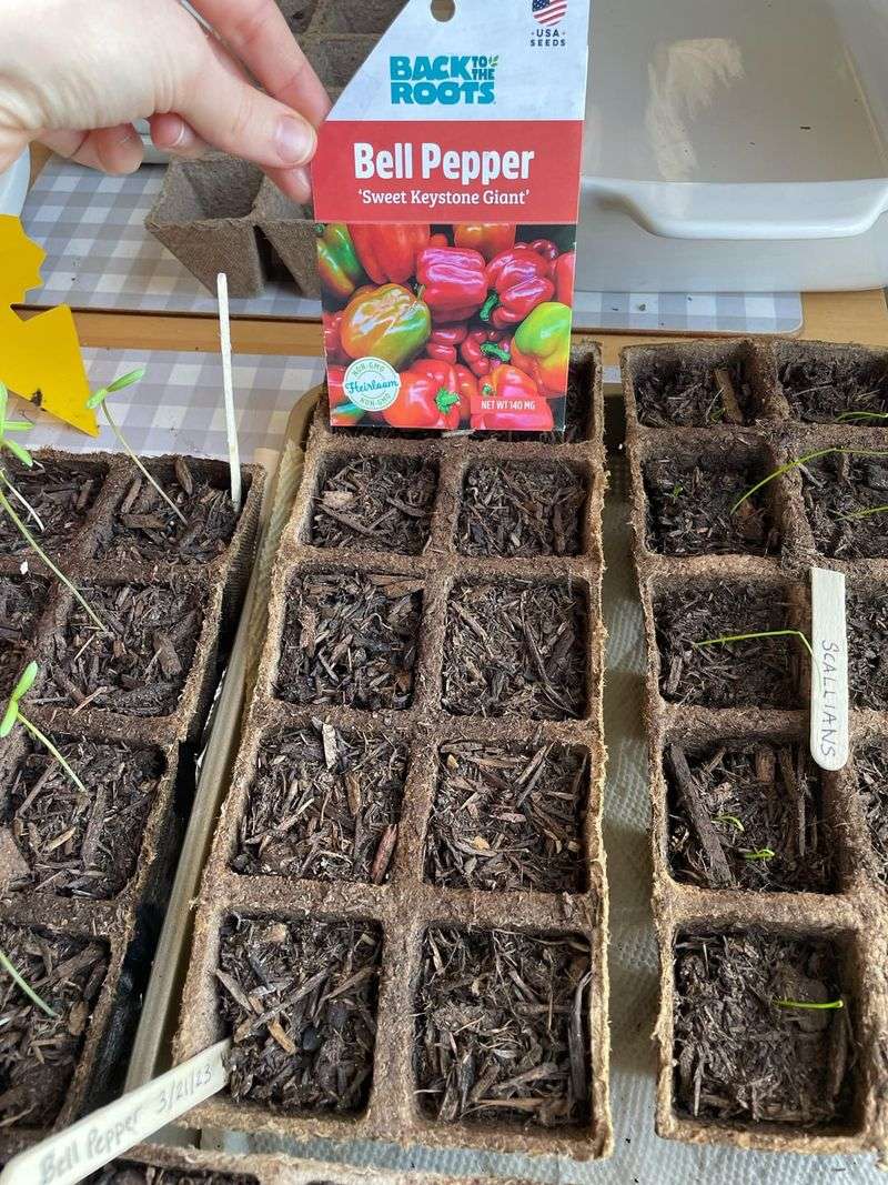 Not using fresh seeds