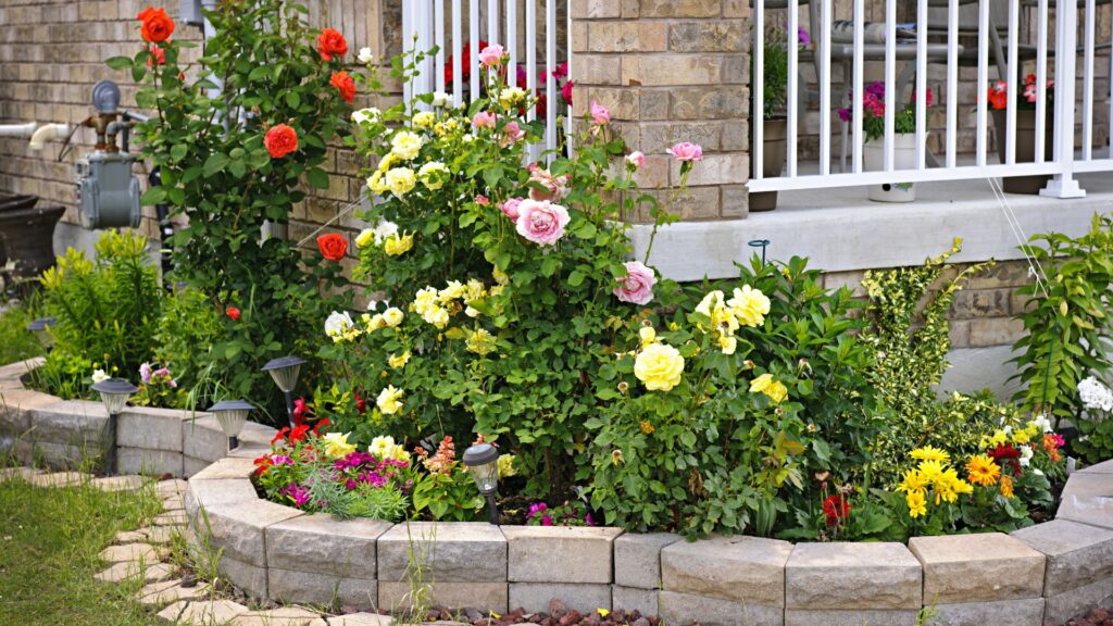 pollinator garden front yard